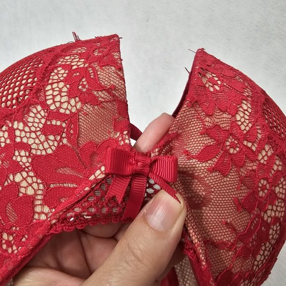 City Chic Celinda Red Mesh And Lace Push Up Bra 38DDD - Picture 6 of 8